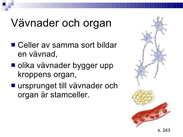 vad är en vävnad vad är en vävnad